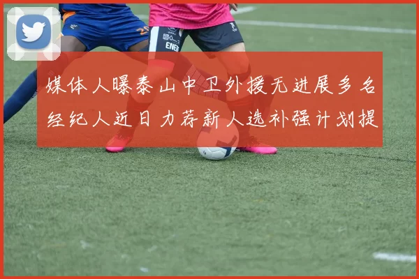 媒体人曝泰山中卫外援无进展多名经纪人近日力荐新人选补强计划提速
